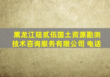 黑龙江陆贰伍国土资源勘测技术咨询服务有限公司 电话